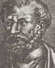 Thiofrastus.jpg